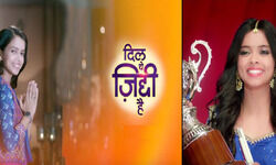 Director, Zee TV, Discovery world, Jhansi, extraordinary spirit, Retinitis Pigmentosa, Television, serial stars Megha Ray, Rohit Suchanti, Shoaib Ali, Suruchi, Sachin Khurana, Feelgood Production Pvt Ltd, Karan Raj Kohli , Viraj Kapur, Manor Rama Pictures, Dil yeh ziddi hai is a very positive show - Creative producer Nitin Mali Director, Zee TV, Discovery world, Jhansi, extraordinary spirit, Retinitis Pigmentosa, Television, serial stars Megha Ray, Rohit Suchanti, Shoaib Ali, Suruchi, Sachin Khurana, Feelgood Production Pvt Ltd, Karan Raj Kohli , Viraj Kapur, Manor Rama Pictures, Dil yeh ziddi hai is a very positive show - Creative producer Nitin Mali