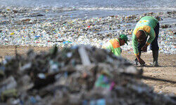 बाली: समुद्र तटों पर कचरे के ढेर के कारण आपात की घोषणा बाली: समुद्र तटों पर कचरे के ढेर के कारण आपात की घोषणा