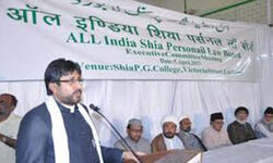 शिया मुस्लिम और भारत