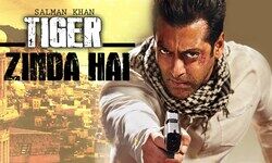 Salmans career best income earning Tiger Zinda Hai