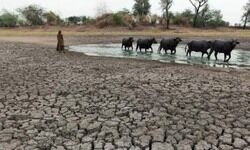 फिर सूखे में जल रहा बुंदेलखंड फिर सूखे में जल रहा बुंदेलखंड
