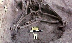 सिंधु घाटी, हड़प्पा सभ्यता, पानी का फार्मूला, आर्किओलोजिकल सर्वे ऑफ इंडिया, एएसआई, पल्लवी मिश्रा, भौतिकी, आविष्कार, बालाथल, पश्चिमी भारत,  Indus Valley, Harappa Civilization, Water Formula, Archaeological Survey of India, ASI, Pallavi Misra, Physics, Invention, 2700 year old yogi in samadhi, ब�