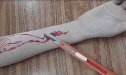 No deaths in India by Blue whale game