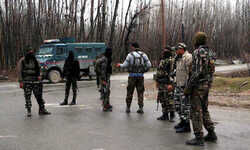 Search Operation In Bandipora