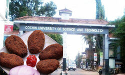 केरल: उत्तर भारतीय शाकाहारी छात्रों को इंजिनियरिंग कॉलेज में परोसा बीफ कटलेट