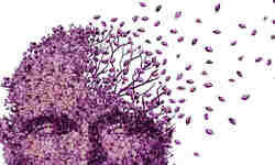 विटामिन डी की कमी से डिमेंशिया का खतरा