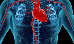 रिसर्च: 2020 तक होंगे भारत में सबसे अधिक दिल के मरीज़