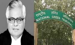 एनजीटी के कार्यकारी अध्यक्ष बने जस्टिस साल्वी एनजीटी के कार्यकारी अध्यक्ष बने जस्टिस साल्वी