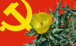 सत्यानासी (भाग -1)