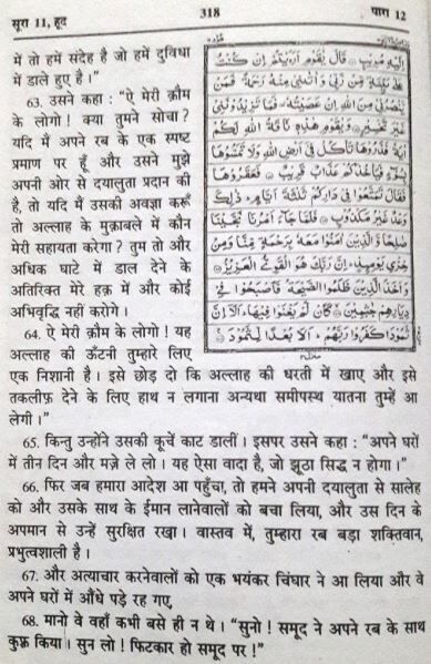 अल्लाह की ऊंटनी, सूरा अल-आराफ़, सूरा हूद, muslim, मुस्लिम, हिन्दू, hindu,  mob-lynching-allah-destroyed-a-whole-community-for-Allah
