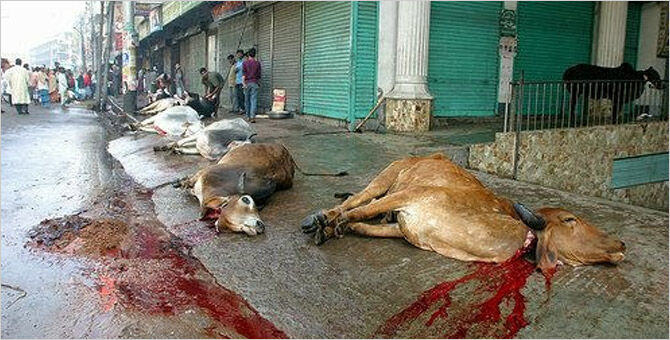 सलमान रश्दी, तस्लीमा नसरीन, हिन्दू-मुस्लिम, मुसलमान, हिन्दू, धार्मिक राजनीति, Salman Rashdi, Taslema Nasreen, Hindu-Muslim, Muslim,