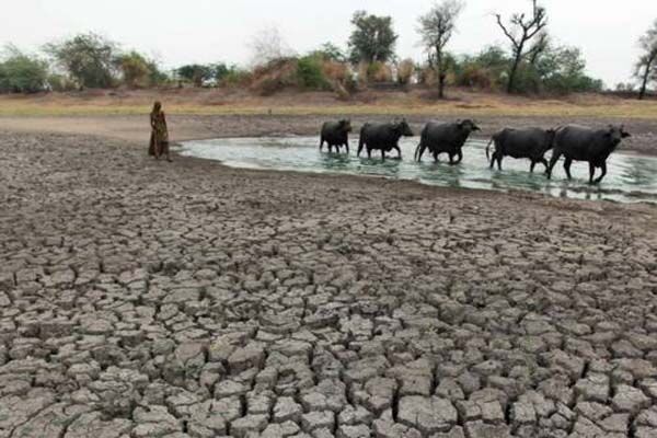 फिर सूखे में जल रहा बुंदेलखंड