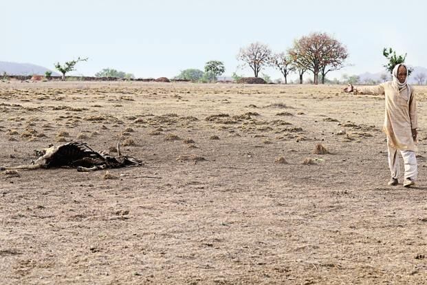 फिर सूखे में जल रहा बुंदेलखंड