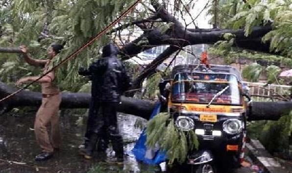 ओखी तूफान से भारी नुकसान : केरल के 33 मछुआरे बचाए गए ओखी तूफान से भारी नुकसान : केरल के 33 मछुआरे बचाए गए